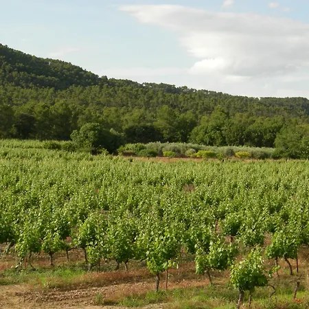 Maison En Pierres * Fontanes (Herault)
